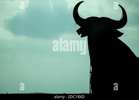 Tête d'un taureau à l'ouest de Madrid, Espagne (« Osborne Bull ») Banque D'Images