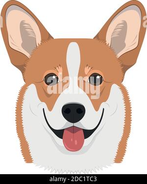 Chien Corgi de Pembroke gallois isolé sur fond blanc illustration vectorielle Illustration de Vecteur