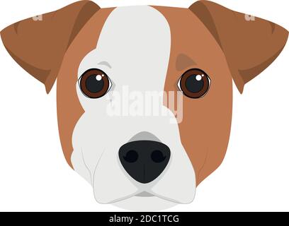 Jack Russell chien isolé sur fond blanc illustration vectorielle Illustration de Vecteur