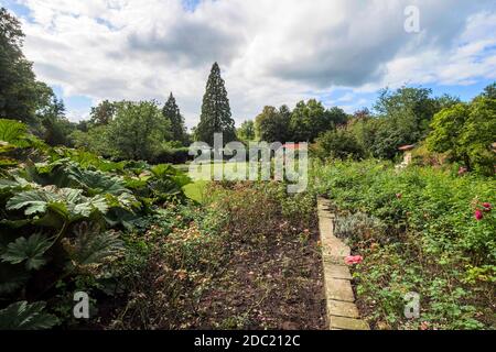 Allemagne - Basse-Saxe, parc du château d'Oldenburg Banque D'Images