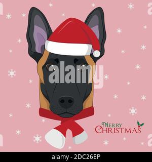 Carte de vœux de Noël. Chien Malinois de race belge avec chapeau de père Noël rouge et écharpe en laine pour l’hiver Illustration de Vecteur