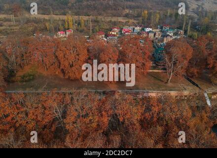 Srinagar. 18 novembre 2020. Photo prise le 18 novembre 2020 montre les paysages d'automne dans la ville de Srinagar, la capitale estivale du Cachemire sous contrôle indien. Crédit : Javed Dar/Xinhua/Alay Live News Banque D'Images