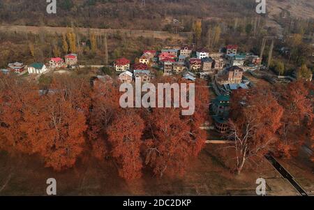 Srinagar. 18 novembre 2020. Photo prise le 18 novembre 2020 montre les paysages d'automne dans la ville de Srinagar, la capitale estivale du Cachemire sous contrôle indien. Crédit : Javed Dar/Xinhua/Alay Live News Banque D'Images