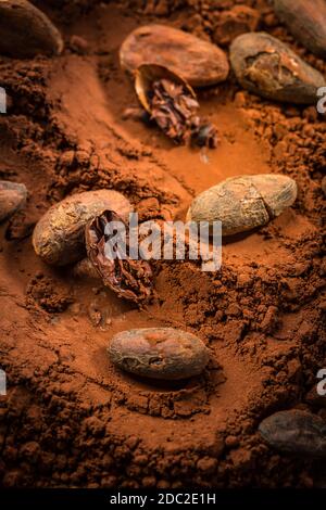 Poudre de cacao biologique avec fèves de cacao pour la cuisson. Ingrédients de cuisson et de cuisson. Banque D'Images