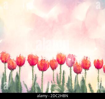 Peinture numérique aquarelle de fleurs de tulipe. Illustration numérique. Banque D'Images