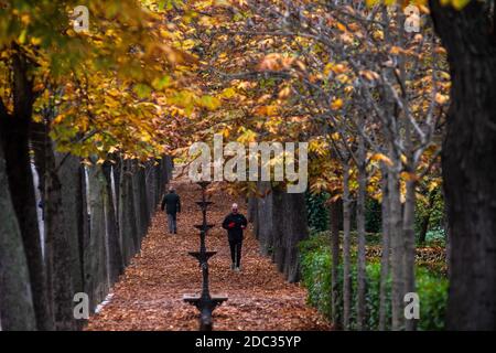 Madrid, Espagne. 18 novembre 2020. Un homme qui fait du jogging dans le parc Retiro pendant une matinée d'automne. Credit: Marcos del Mazo/Alay Live News Banque D'Images