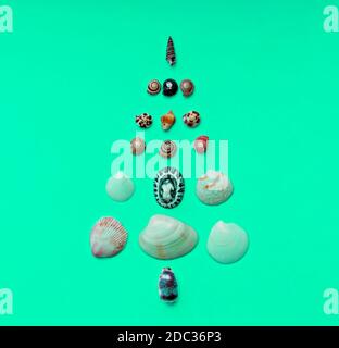 Fond de Noël avec un arbre de Noël fait de coquillages sur fond vert menthe avec espace de copie. Concept de Noël tropical et du nouvel an. Minimum Banque D'Images