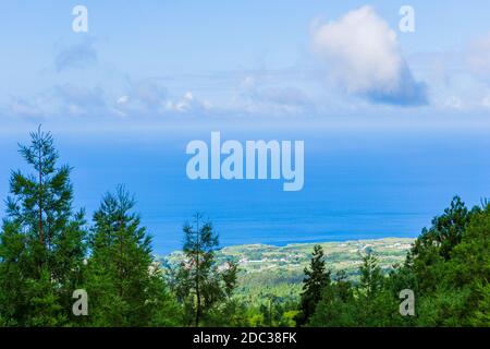 Beaux paysages des Açores Portugal. Nature tropicale à l'île de Sao Miguel, Açores. Banque D'Images