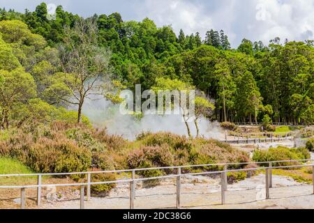 Eau bouillante et vapeur chaude s'échappant de Caldeira Grande dans la petite ville de Furnas, île de Sao Miguel aux Açores, Portugal Banque D'Images