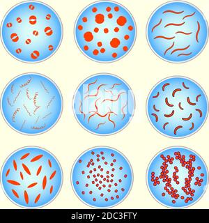 image stylisée de différents types de bactéries sous microscope Illustration de Vecteur