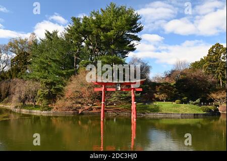 Automne - Brooklyn Botanic Garden, Japanese Hill & Pond Garden Banque D'Images