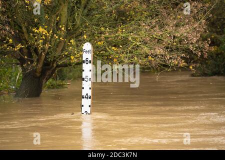 Indicateur de niveau d'eau de la jauge de la rivière dans une rivière inondée à la ford dans le Grand Hadham, Hertfordshire. ROYAUME-UNI Banque D'Images