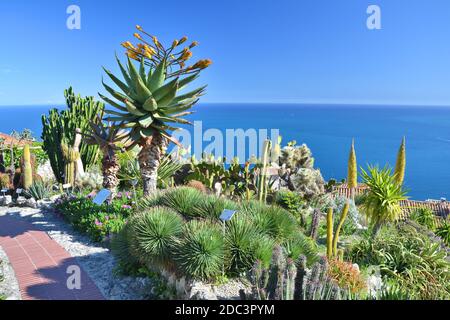 Eze, France - 29 avril 2019 : magnifique jardin exotique avec des plantes succulentes et cactus à Eze, France. Banque D'Images