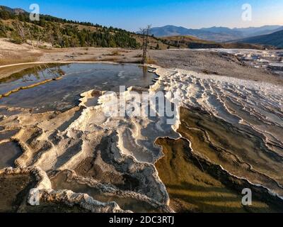 Mammoth Hot Springs, au lever du soleil, parc national de Yellowstone, Wyoming, États-Unis Banque D'Images