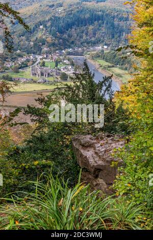 En regardant vers le bas sur l'abbaye de Tintern dans la vallée de Wye depuis le Diable's Pulpit sur Shorn Cliff, Tidenham Chase, Gloucestershire Royaume-Uni Banque D'Images