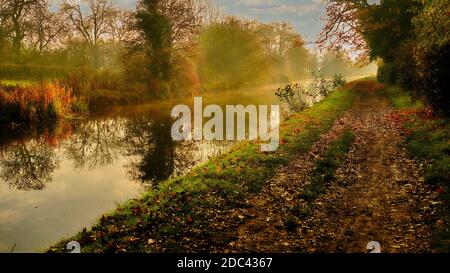 Couleurs d'automne en début de matinée Banque D'Images