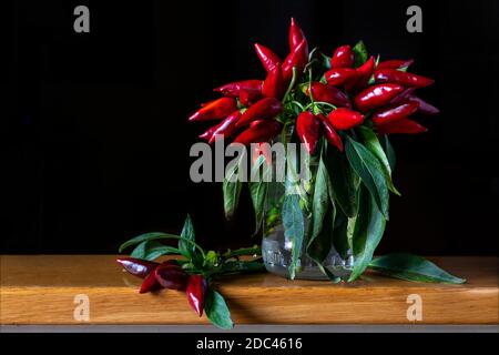 Poivrons annuels, Capsicum annuum L. poivrons rouges dans un pot en verre à fond noir. Banque D'Images