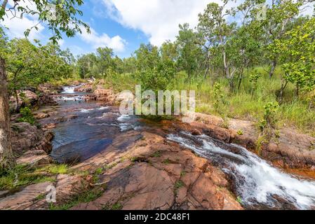 Les trous de Buley Rock en cascade avec une végétation luxuriante dans le Bush et des arbres tombés dans le parc national de Litchfield, dans la partie supérieure tropicale de l'Australie. Banque D'Images