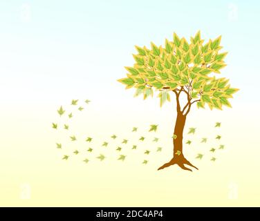 Érable vert de printemps avec des feuilles vertes Illustration de Vecteur