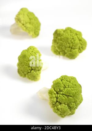 Chou-fleur vert brassica oleracea AGAINST WHITE BACKGROUND Banque D'Images