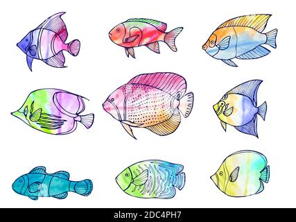 Ensemble de poissons dessinés à la main avec fond aquarelle.isolé sur blanc. Illustration du vecteur d'esquisse. Illustration de Vecteur