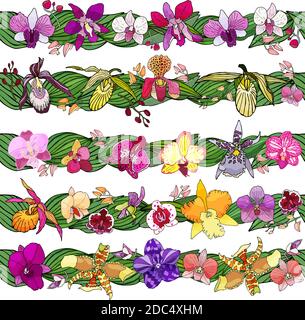 Jeu de pinceaux fleuris dessinés à la main. Illustration vectorielle colorée. Éléments pour la conception. Orchidées fleurs. Illustration de Vecteur