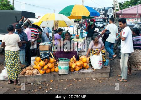 Les femmes qui vendent des noix de coco King attendent les clients au lever du soleil au marché très animé Negombo Fish sur la côte ouest du Sri Lanka. Banque D'Images