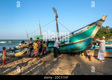 Les habitants de la région aident à pousser un énorme bateau de pêche Oruwa vers la plage de la baie d'Arugam, sur la côte est du Sri Lanka, en fin d'après-midi. Banque D'Images