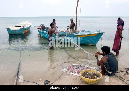 Les pêcheurs et les femmes qui s'occupent de leurs filets sur une plage de la côte ouest de l'île Delft, dans la région de Jaffna, au Sri Lanka. Banque D'Images