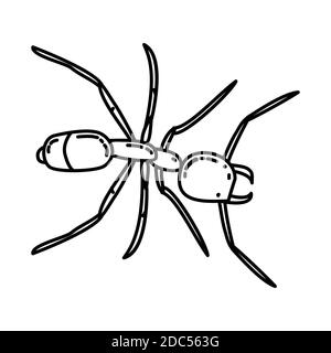 Icône tir Ant. Vecteur de jeu d'icônes dessinées à la main pour animaux tropicaux. Illustration de Vecteur