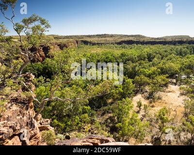 Vue depuis le belvédère de Duwadarri, la gorge de Lawn Hill et le parc national de Boodjamulla Banque D'Images