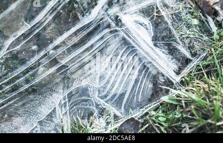 La structure mince de glace couvre l'herbe côtière, résumé gros plan naturel texture de photo de fond Banque D'Images