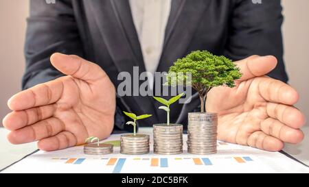 L'arbre pousse sur un tas de pièces, y compris les mains d'un investisseur curé, gérant des idées de croissance d'investissement financier et d'affaires. Banque D'Images