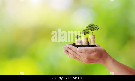 Homme d'affaires tenant un arbre en croissance et en croissance à partir d'un tas de pièces, idée de croissance de l'argent. Banque D'Images