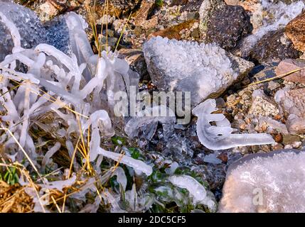 Étrange banquise dans le lit de la rivière, herbe d'automne couverte de glace brillante belle à proximité de la rivière; le premier automne se froste et approche Banque D'Images