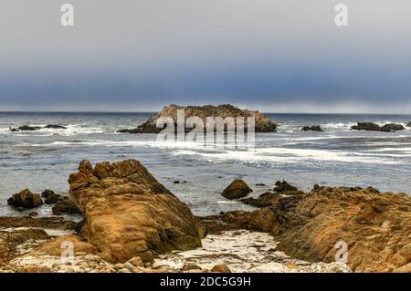 Bird Rock est l'un des arrêts les plus populaires le long de 17-Mile Drive. Il y a des centaines d'oiseaux, de phoques communs et de lions de mer. Banque D'Images