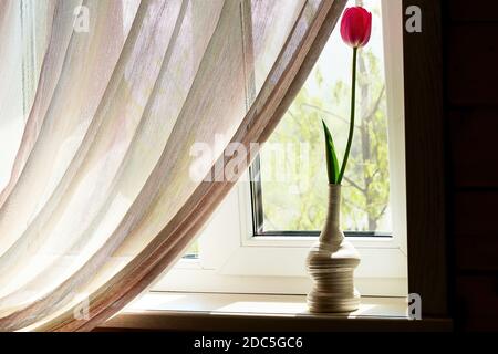 Tulipe tendre dans le vase décoratif sur le rebord de la fenêtre. Concept d'amour et d'élégance Banque D'Images