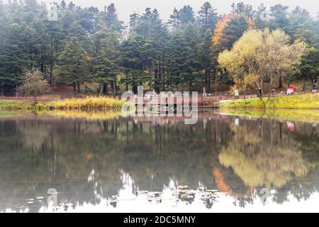 Maison en bois d'automne sur le lac à l'intérieur de la forêt dans le parc national de Bolu Golcuk, papier peint de Turquie Banque D'Images