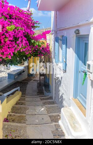 Allée cycladitique traditionnelle avec rue étroite, maisons blanchies à la chaux et bougainvilliers en fleurs, à ano Syros Grèce Banque D'Images