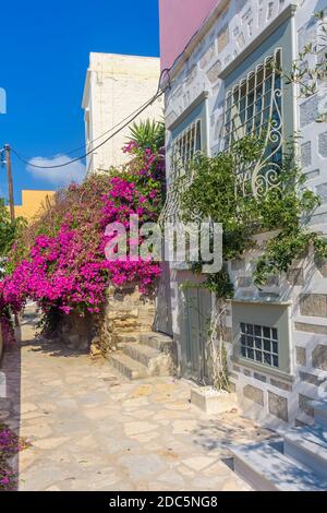 Vue sur la rue des maisons traditionnelles et un bougainvilliers coloré à Ermoupolis, île de Syros, Grèce Banque D'Images