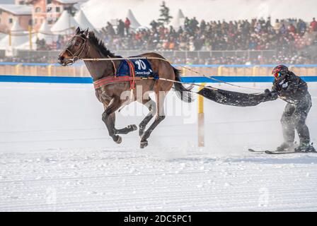 Course de Skijöring pendant le White Turf à St.Moritz, Suisse Banque D'Images