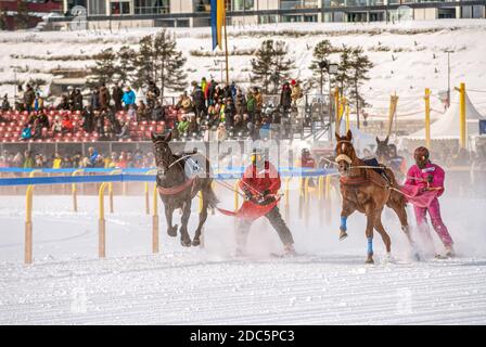 Course de Skijöring pendant le White Turf à St.Moritz, Suisse Banque D'Images