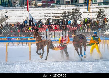 Course de Skijöring pendant le White Turf à St.Moritz, Suisse Banque D'Images