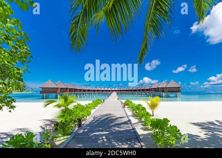 Destination de voyage de luxe. Magnifique paysage de plage d'été, villas d'eau sous des palmiers, sable blanc et ciel bleu. Vacances idylliques vacances de loisirs Banque D'Images