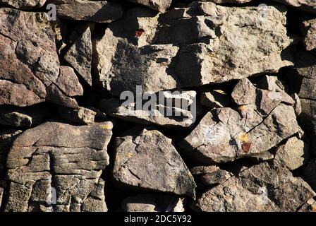 Gros plan sur un mur en pierre sèche, Snowdonia. Parfois appelé drystack ou, en Écosse, drystane, c'est une ancienne méthode de construction sans mortier Banque D'Images