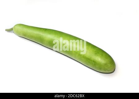 Gourd de bouteille verte biologique fraîche, légumes sains sur fond blanc, mise au point sélective avec flou. Banque D'Images