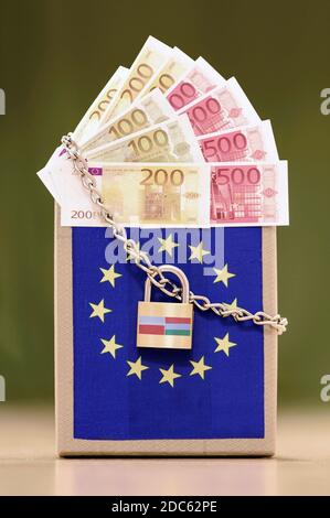Nuremberg, Allemagne. 17 novembre 2020. Avec leur droit de veto au milieu de la pandémie, la Pologne et la Hongrie ont bloqué le prochain budget pluriannuel de l'UE et les fonds d'aide aux pays de la crise corona. (Image de symbole, image de thème) | utilisation dans le monde crédit : dpa/Alay Live News Banque D'Images
