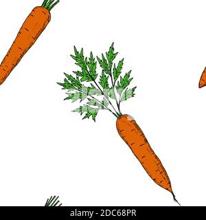 Motif de carottes sans couture. Arrière-plan de dessin animé vectoriel. Style dessiné à la main. Illustration de Vecteur