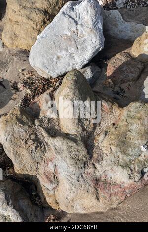 Empreinte de dinosaures fossilisés à Compton Bay, île de Wight Banque D'Images