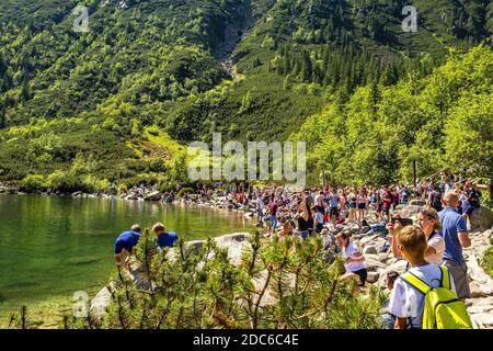 Zakopane, Lesser Pologne / Pologne - 2019/06/29: Foules de touristes profitant de la météo ensoleillée et des paysages de montagnes à l'étang Morskie Oko à High Tatra M Banque D'Images